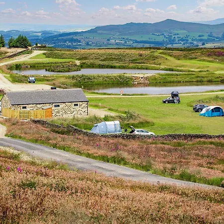 Nyaraló Curlew - Uk51340 *
