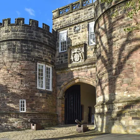 Curlew - Uk51340 Draughton