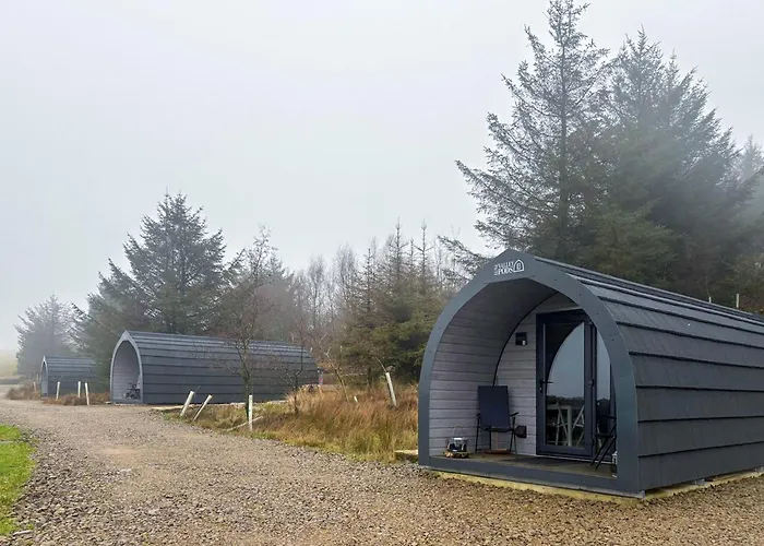 Nyaraló Curlew - Uk51340