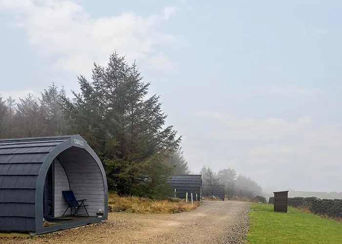 Curlew - Uk51340 Draughton