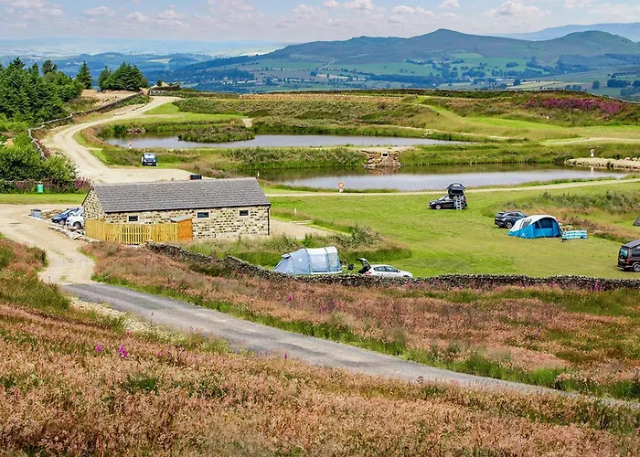 Nyaraló Curlew - Uk51340 *