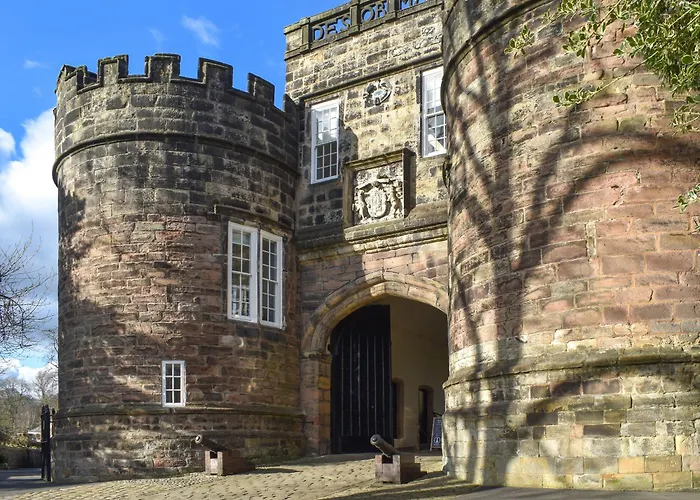 Curlew - Uk51340 Draughton